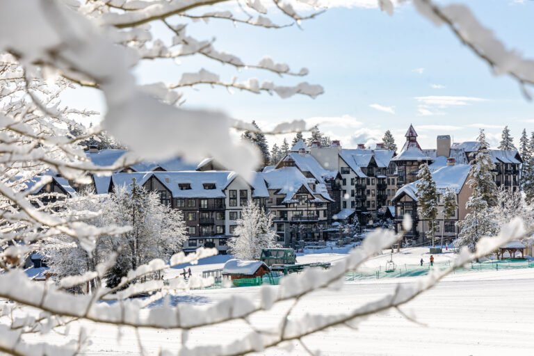 The Village at Tamarack